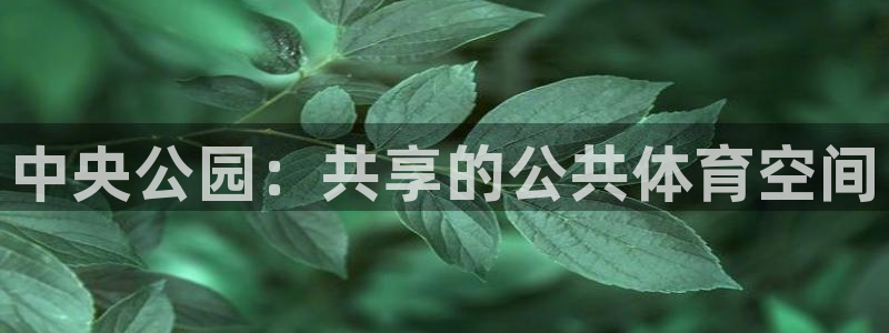 尊龙 中国