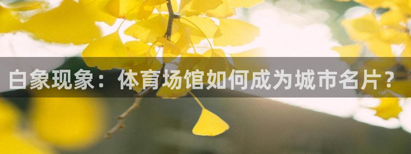 尊龙官网国际