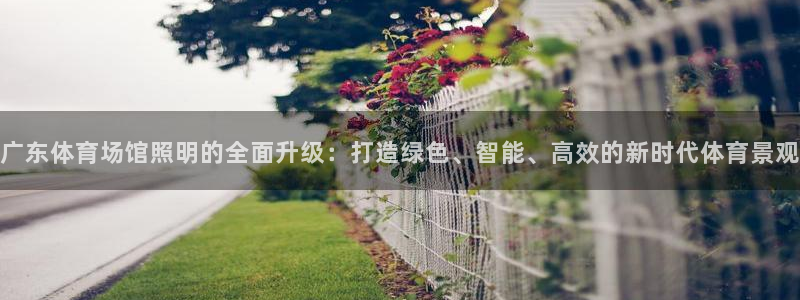 尊龙网站人生就是博