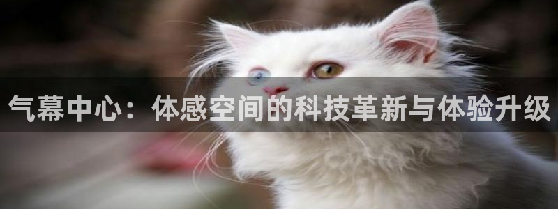 最新凯时官网网址