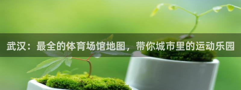 尊龙实业有限公司
