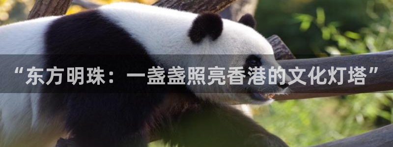 凯时尊龙app国际官方网站