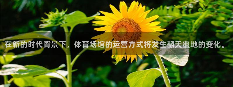 尊龙凯时ag旗舰厅官
