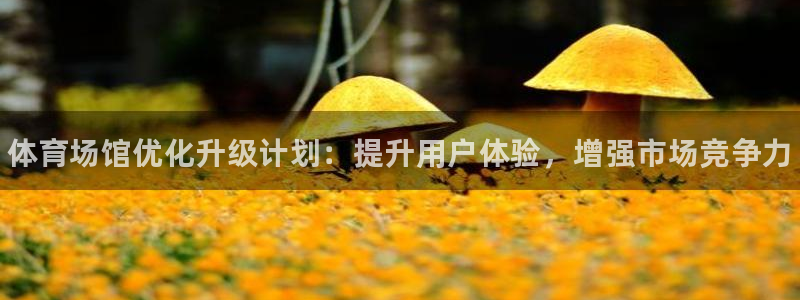 尊龙凯时ag旗舰厅登陆