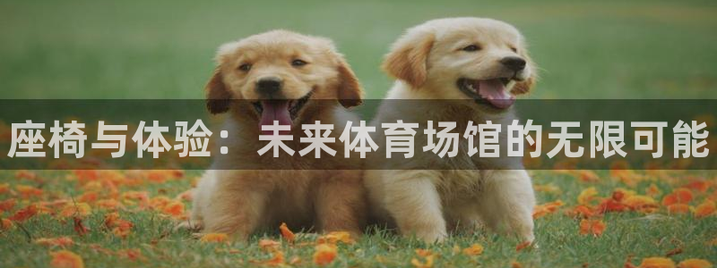 尊龙凯时 - 人生就是搏有假吗