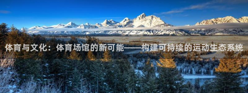 尊龙凯时美金能提取吗