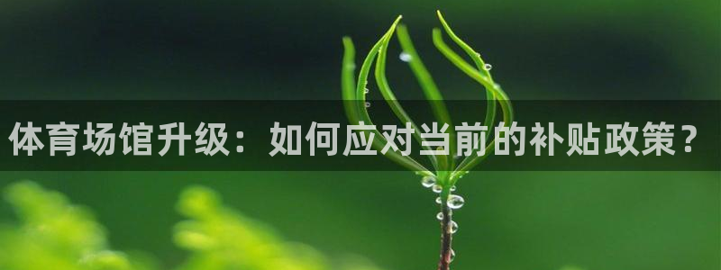 尊龙凯时取款不成功