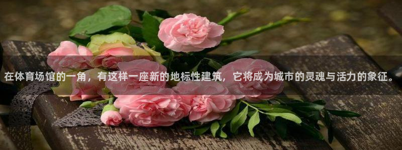 尊龙人生就是博l