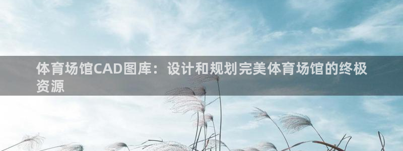 尊龙会ktv价格：体育场馆CAD图库：设计和规划完美体育场馆
